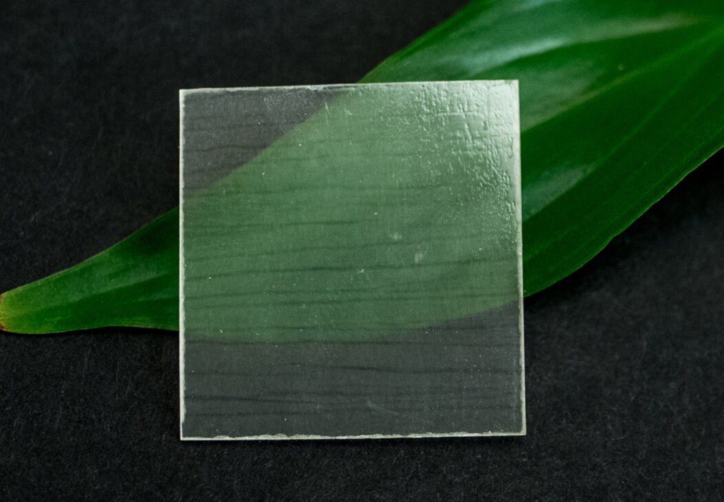 madera-transparente-protector-cristal-1-erdc