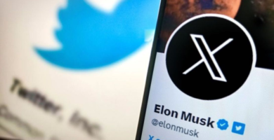 elon musk y x