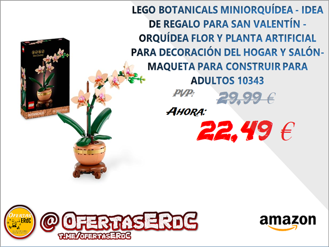 Entrada sin título 7769