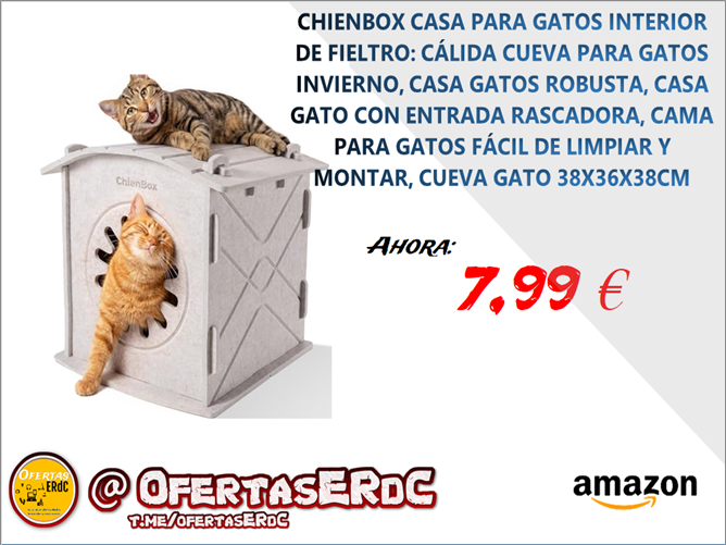 Entrada sin título 13257